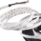 Led valonauha RGB+CCT 24V 19,2W/m IP20 NA100